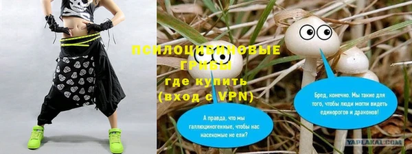 2c-b Богородск