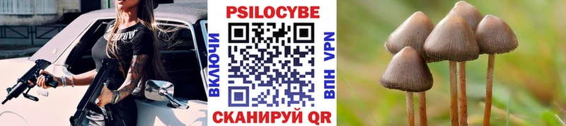 Псилоцибиновые грибы прущие грибы  закладки  сайты даркнета официальный сайт  Константиновск  mega сайт 